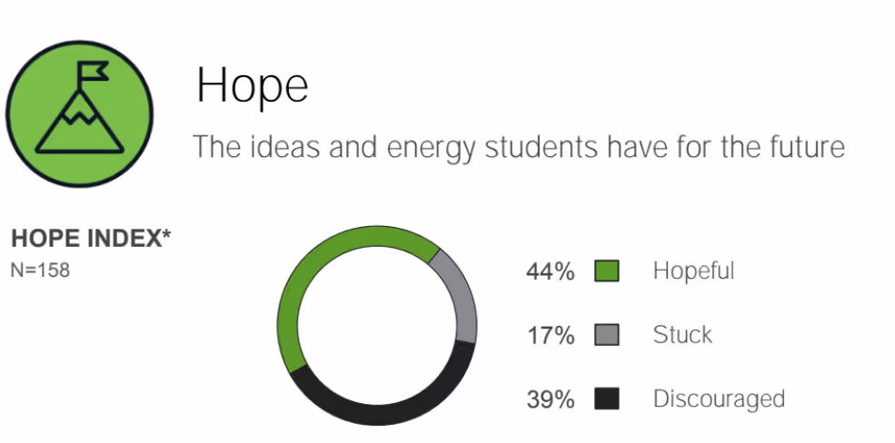 A school's hope index showing 44% hopeful