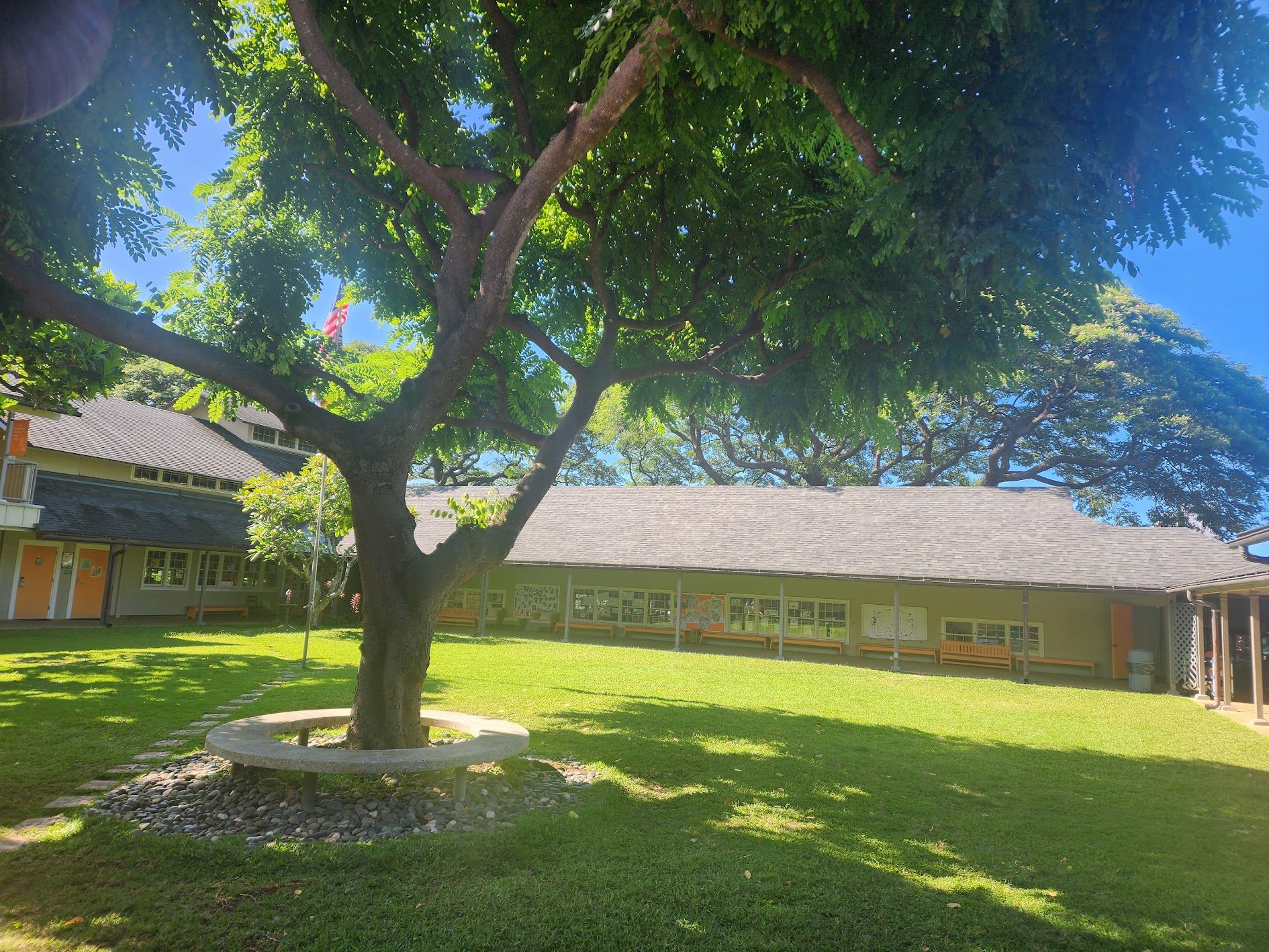 A large tree ringed by a round bench in the center of the school's sunny courtyard, with classroom buildings and the flagpole behind it.