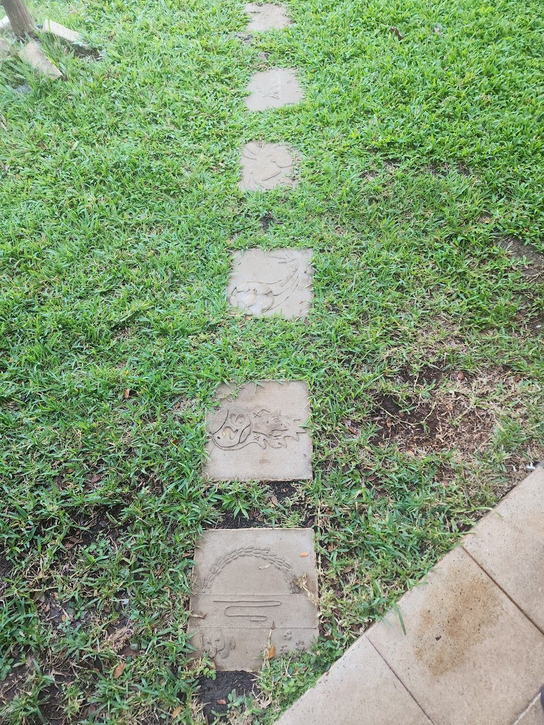 A line of square concrete stepping stones, each carved with a different design, running through green grass.