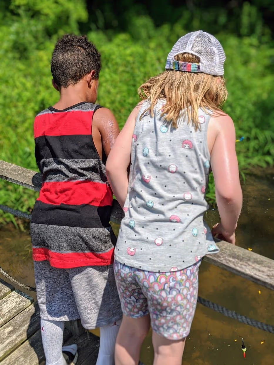 UDL Guideline: Provide options for sustaining effort and persistence, including fostering collaboration and community