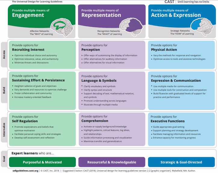 The UDL Guidelines graphic organizer showing the three principles: Engagement, Representation, and Action & Expression, with their component guidelines and checkpoints
